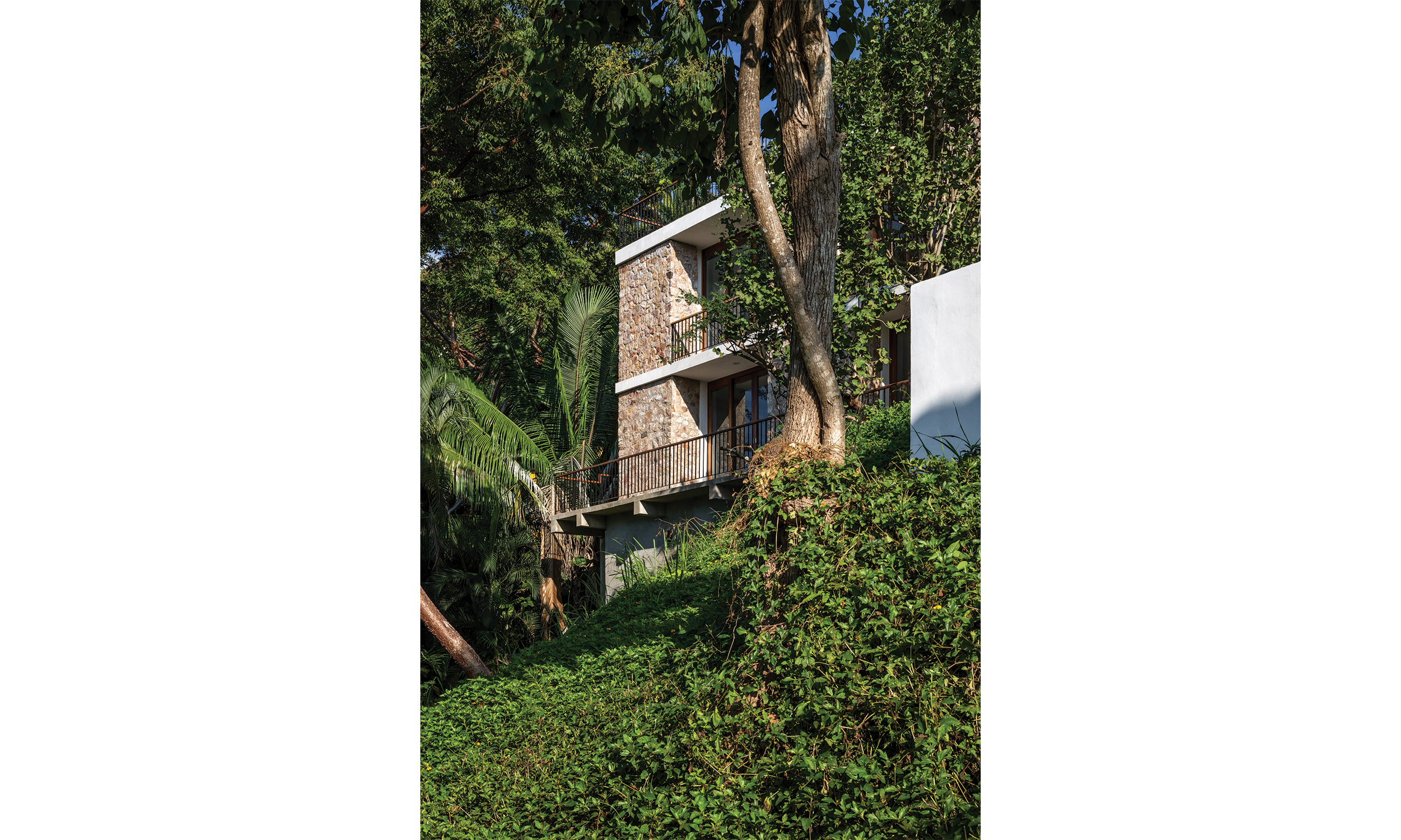 main_office_casa_reavis_rafaél_gamo_0339_east_view