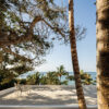 main_office_linda_theresia_rafaél_gamo_126_terrace