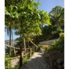 main_office_villa_pelicanos_platform_03